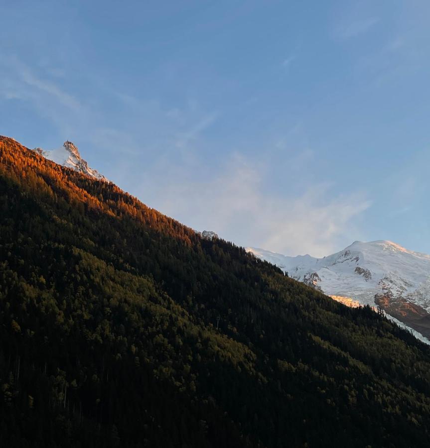 Apartament Center & Unique Mountain View Chamonix Zewnętrze zdjęcie